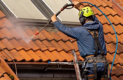 Démoussage et hydrofuge de toiture à Peyriguère